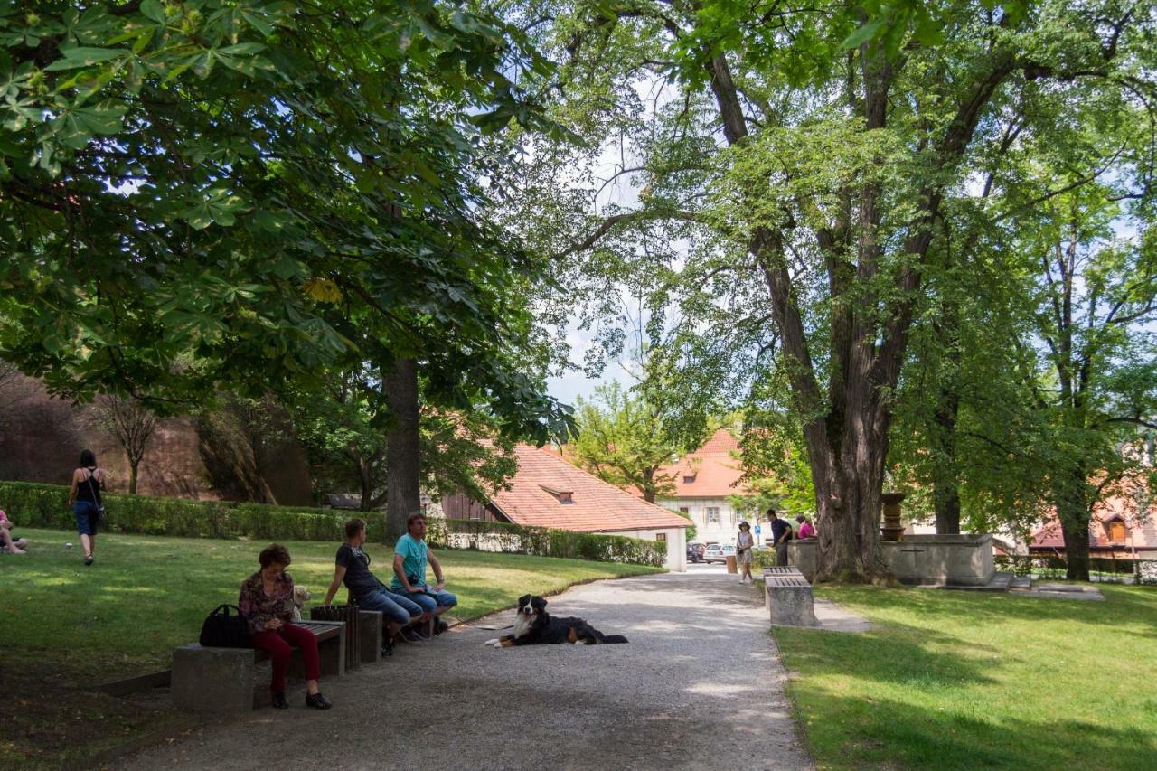 克鲁姆洛夫住宿加早餐旅馆 Český Krumlov 外观 照片